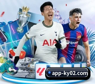 开云 APP